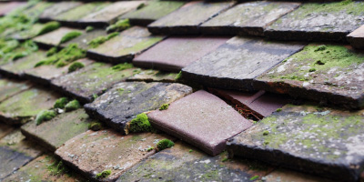 Rye Harbour roof repair costs